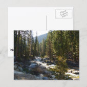 Kaweah rivier in Sequoia National Park Briefkaart (Voorkant / Achterkant)