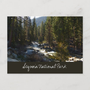 Kaweah rivier in Sequoia National Park Briefkaart