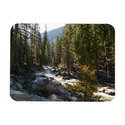 Kaweah rivier in Sequoia National Park Magneet (Horizontaal)