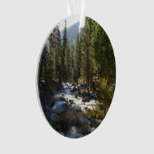 Kaweah rivier in Sequoia National Park Ornament (voorkant)