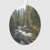 Kaweah rivier in Sequoia National Park Ornament (voorkant)