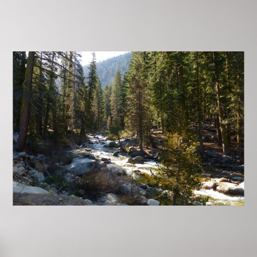 Kaweah rivier in Sequoia National Park Poster (Voorkant)