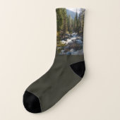 Kaweah rivier in Sequoia National Park Sokken (Links - buitenkant)