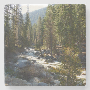 Kaweah rivier in Sequoia National Park Stenen Onderzetter