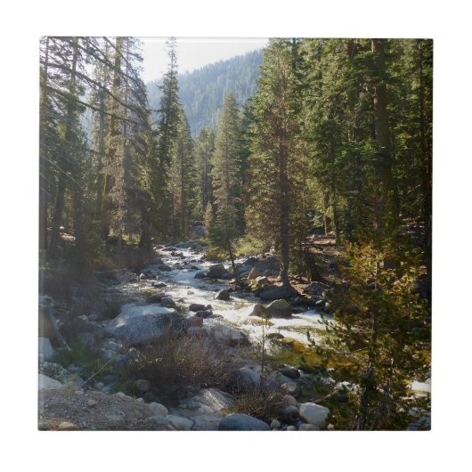 Kaweah rivier in Sequoia National Park Tegeltje (Voorkant)