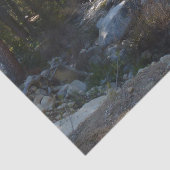 Kaweah rivier in Sequoia National Park Tissuepapier (Detail)