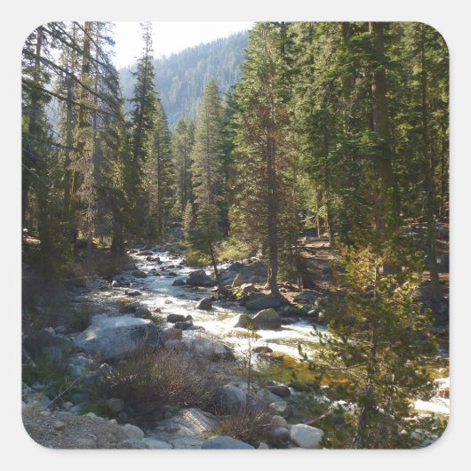 Kaweah rivier in Sequoia National Park Vierkante Sticker (Voorkant)
