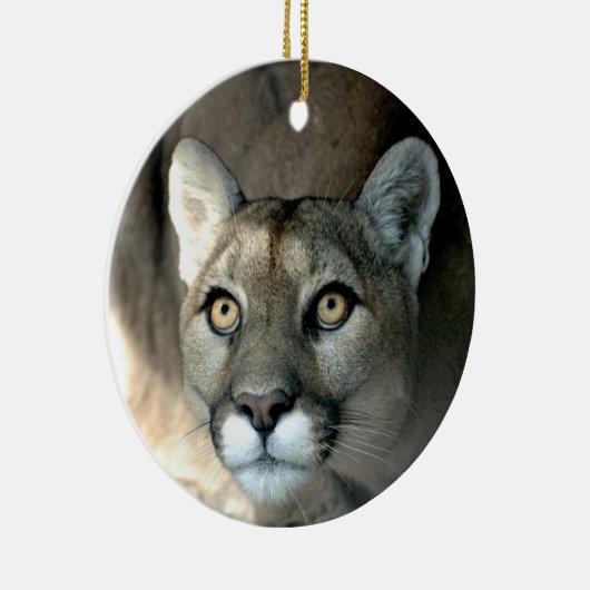 Kaya Ornament 2012 (Rechts)