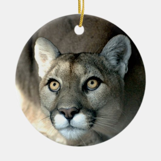 Kaya Ornament 2012 (Voorkant)