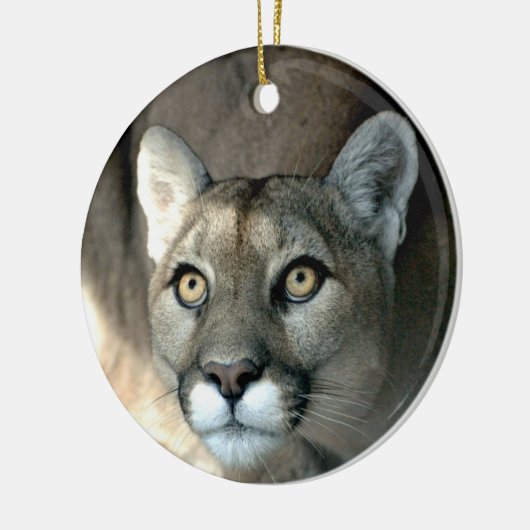 Kaya Ornament 2012 (Links)