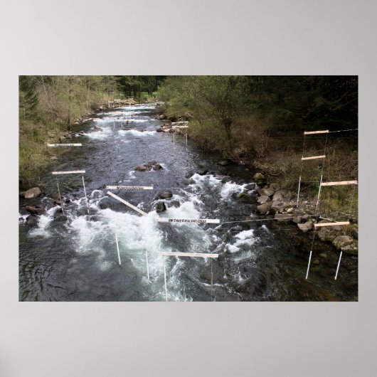 Kayak Race Markers Print (Voorkant)