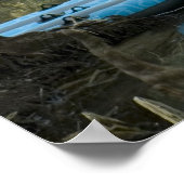 Kayak & Raft in lenteverdruk Poster (Hoek)