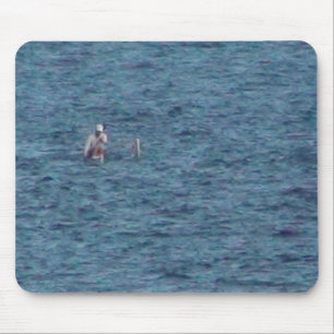 Kayaker in Verf Muismat