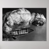 Kayaker met een waterdichte jas met een speelgoed- poster (Voorkant)