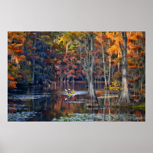 Kayaking - Caddo Lake, Texas - Autumn Poster (Voorkant)