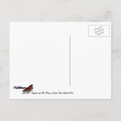 Kayaking in Grand Teton National Park Briefkaart (Achterkant)