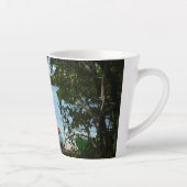 Kayaking in St. Thomas US Maagdeneilanden Latte Mok (Rechts)