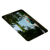 Kayaking in St. Thomas US Maagdeneilanden Magneet (Rechterzijde)