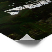 Kayaking in St. Thomas US Maagdeneilanden Poster (Hoek)