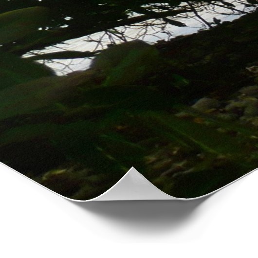 Kayaking in St. Thomas US Maagdeneilanden Poster (Hoek)