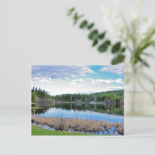 Kayaking Marshall Lake - Boundary B.C. Briefkaart (Staand voorkant)
