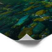 Kayaking Oerwoud River Poster (Hoek)