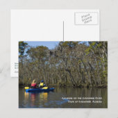 Kayaking the Suwannee River Briefkaart (Voorkant / Achterkant)