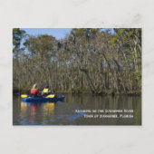 Kayaking the Suwannee River Briefkaart (Voorkant)