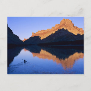 Kayakken op de Colorado River in het Spaans Briefkaart