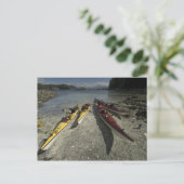 Kayaks op Dicebox Island, Broken Island Group, Briefkaart (Staand voorkant)