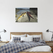 Kayaks op Dicebox Island, Broken Island Group, Canvas Afdruk (Insitu (Slaapkamer))