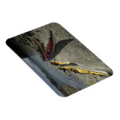 Kayaks op Dicebox Island, Broken Island Group, Magneet (Rechterzijde)