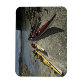Kayaks op Dicebox Island, Broken Island Group, Magneet (Verticaal)