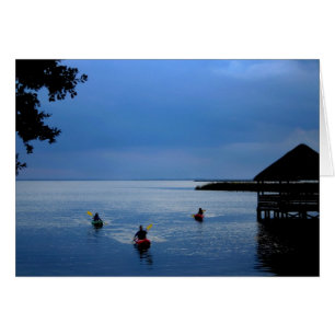 Kayaks op het geluid
