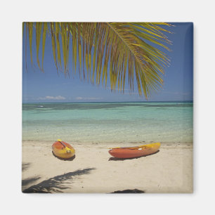 Kayaks op het strand, Plantation Island Resort Magneet