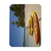 Kayaks op het strand, Plantation Island Resort Magneet (Verticaal)