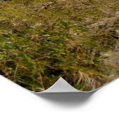 Kayaks op Rest Poster (Hoek)