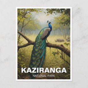 Kaziranga Nationaal Park Assam India Reizen Briefkaart