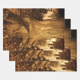Kbegraafplaats  Antiek Sepia Boom — Muziek Inpakpapier Vel
