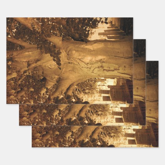Kbegraafplaats  Antiek Sepia Boom — Muziek Inpakpapier Vel (Set)