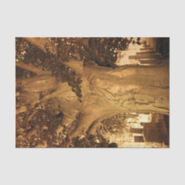 Kbegraafplaats  Antiek Sepia Boom — Muziek Tissuepapier