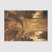 Kbegraafplaats  Antiek Sepia Boom — Muziek Tissuepapier (Voorkant)