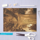 Kbegraafplaats  Antiek Sepia Boom — Muziek Tissuepapier (Craft)