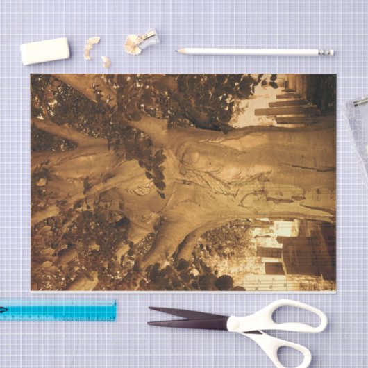 Kbegraafplaats Antiek Sepia Boom — Muziek Tissuepapier (Craft)