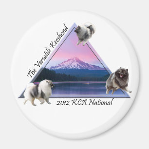 KCA National Magnet 2012