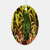 Kea bird Ornament (Voorkant Rechts)