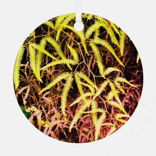 Kea bird Ornament (Achterkant)