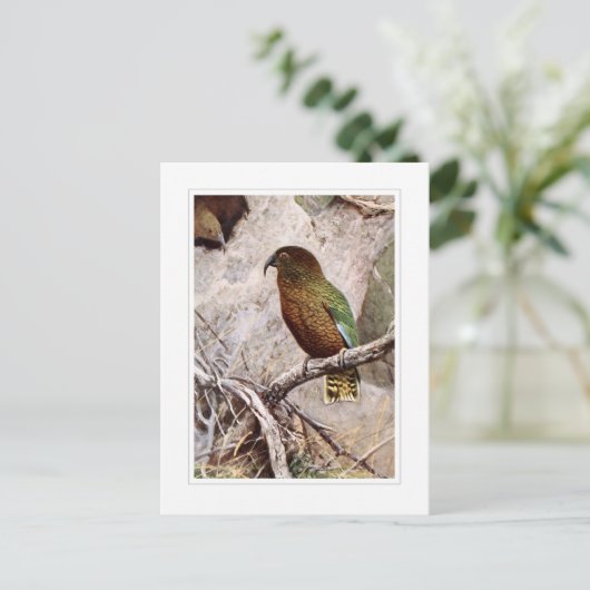 Kea Briefkaart (Staand voorkant)