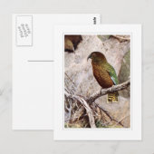 Kea Briefkaart (Voorkant / Achterkant)