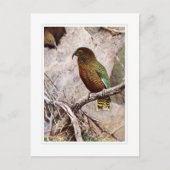 Kea Briefkaart (Voorkant)